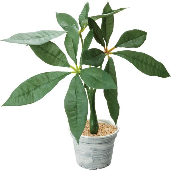 lHϗtA YDM pL|bg O[ GLA-1490-GR ԗtAtFCNO[  lHϗtA |bg