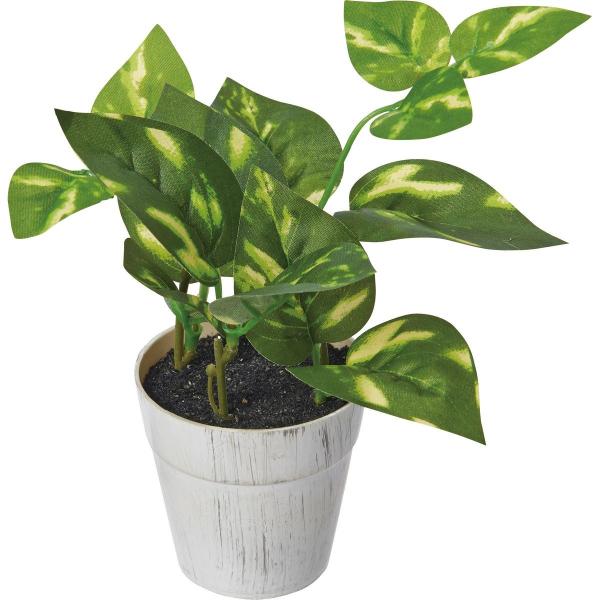 【商品番号：030-55669】/【VAR：】20190314new/ydmglabn造花葉物、フェイクグリーン 造花・人工観葉植物 卓上ポット