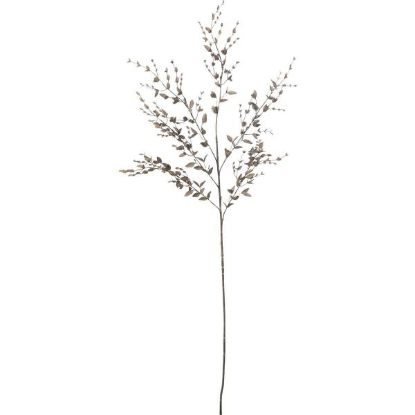 ���� YDM �^�C�j�[���[�t�u�����` FG-5028-BE ���ԗt���A�t�F�C�N�O���[�� ���̑��̑��ԃO���[��