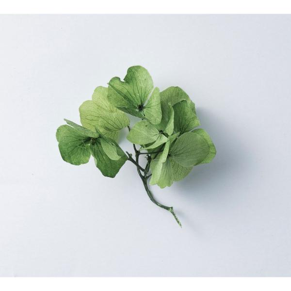 【商品番号：030-56699】/【VAR：61478】20200107new/15px-005/16hina-005/psum-003/bk-3004/bk-4004プリザーブドフラワー花材 アジサイ