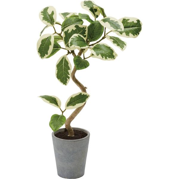 lHϗtA YDM tBJXAeV}|bg v f GLA-1524-W G ԗtAtFCNO[  lHϗtA |bg