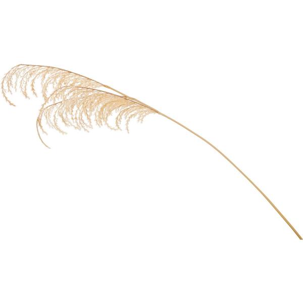 造花 Ydm パンパススプレー ベージュ Fg 5115 Be 造花葉物 フェイクグリーン ススキ 030 はなどんやアソシエ 通販 Yahoo ショッピング