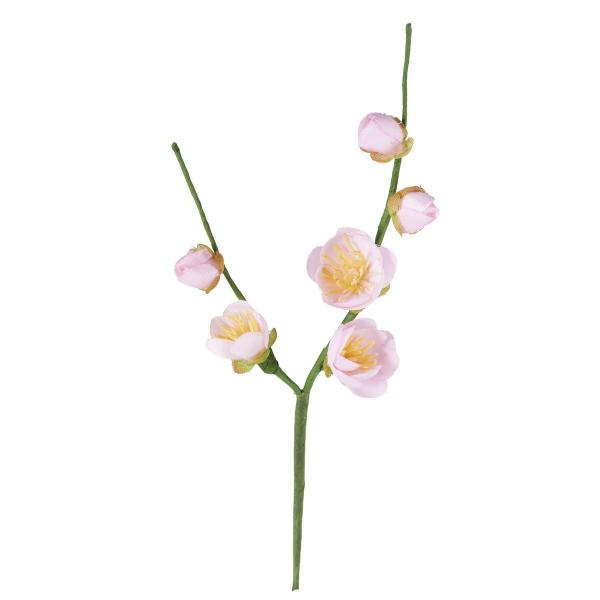 【商品番号：030-57322】/【VAR：63765】20200803new/19seijin-002/wakobana/saimatu-p/wi_wabana造花 花材「あ行」 ウメ（梅）