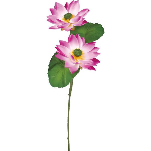  YDM [^X×2 x_[ FA-7350LAV  ԍށu͍sv nX @  [^X