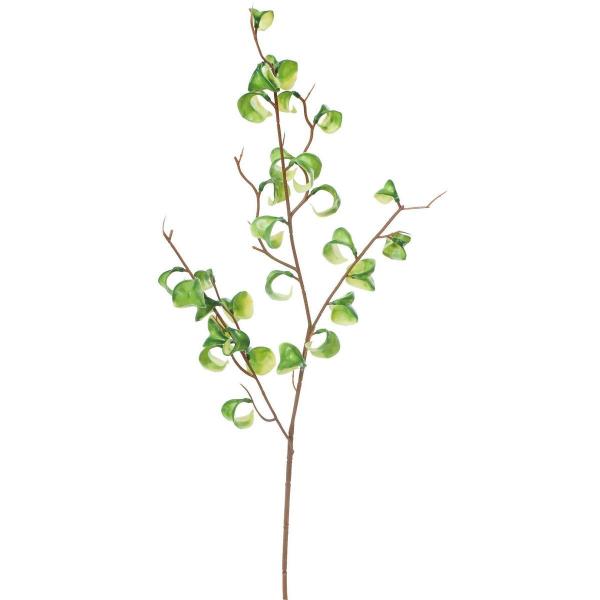   YDM tBJXV^VIu`r zCgO[ FG-5197-W G ԗtAtFCNO[ ̑̑ԃO[