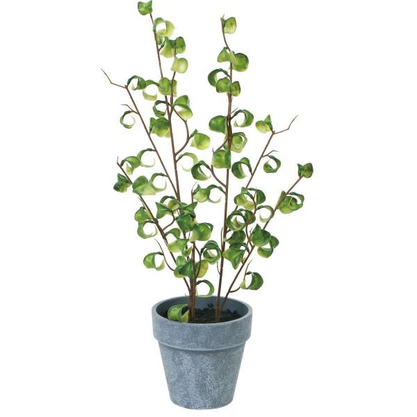 lHϗtA YDM tBJXV^VI|bg zCgO[ GLA-1541-W G ԗtAtFCNO[  lHϗtA |bg