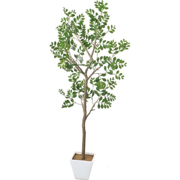 ���� �l�H�ϗt�A�� YDM �g�l���R�c���[ �O���[�� GLA-1545-GR ���ԕi ��� �L�����Z���s�� ���ԗt���A�t�F�C�N�O���[�� ���� �l�H�ϗt�A�� ���|�b�g