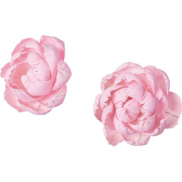 【商品番号：030-60037】/【VAR：76768】20230707new/ydym23aw31/24awymydn1ソラフラワー その他ソラフラワー【横浜ディスプレイミュージアム】