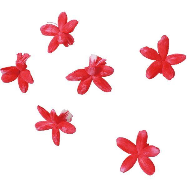 【商品番号：030-60044】/【VAR：76768】20230707new/ydym23aw31/color20230919/24awymydn1ソラフラワー その他ソラフラワー【横浜ディスプレイミュージアム】