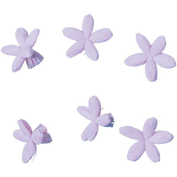 【商品番号：030-60046】/【VAR：76768】20230707new/ydym23aw31/24awymydn1ソラフラワー その他ソラフラワー【横浜ディスプレイミュージアム】