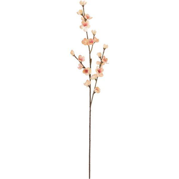 【商品番号：030-60068】/【VAR：76773】20230707new/ydym23aw31/color20230919/saimatu-p/milkypink/24awymydn2/wi_wabana/bkz-0409造花 花材「...