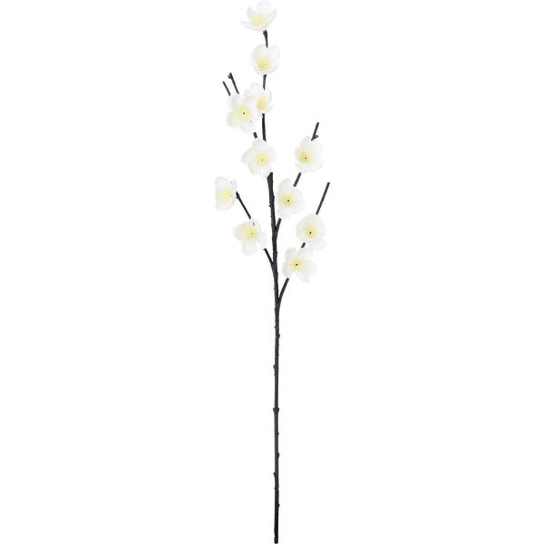 【商品番号：030-61294】/【VAR：82072】date20240711/ポピー2024AW秋冬/999color10203/24awymydn2/wi_wabana造花 花材「あ行」 ウメ（梅）