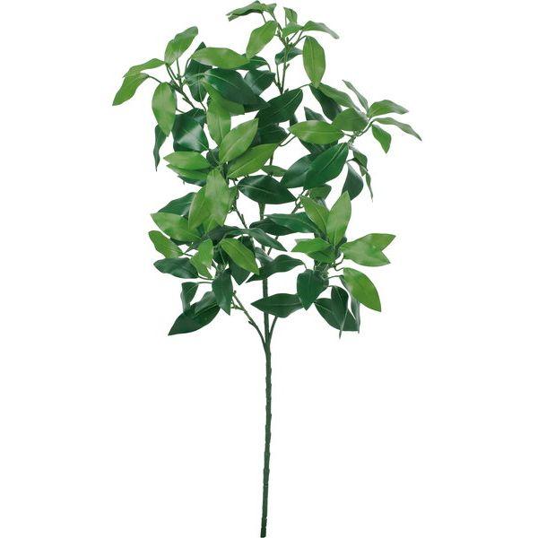 【商品番号：030-61534】/【VAR：83684】date20250206造花葉物、フェイクグリーン サカキ
