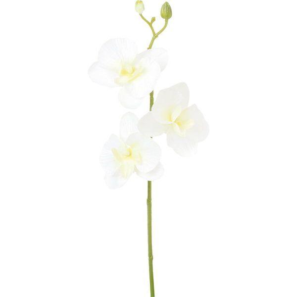 造花 YDM コチョウラン FFH-0065-W 造花 花材「か行」 コチョウラン 胡蝶蘭