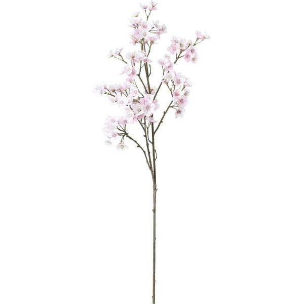 日本の意匠　桜 桜 紅花しだれ桜 【花木苗 4.5号ポット／1個売り】｜ 【植物の