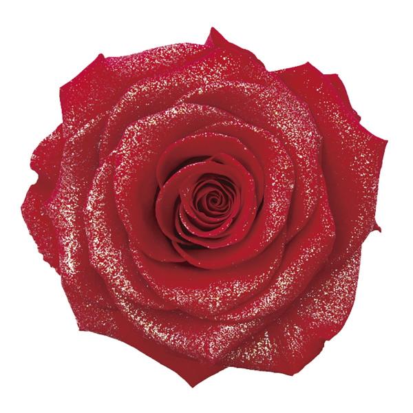 プリザーブド アモローサ ダイヤモンドリンダ 1輪入り ブライトレッド 1109 30 01 は行 バラ ローズ の価格推移 サープラ