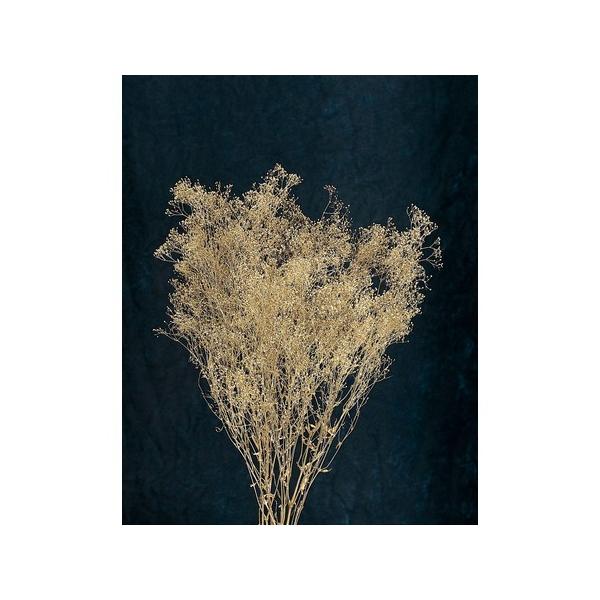 【商品番号：034-00034】/【VAR：4403】00020-902/4988489063067/mothersday_preserved/xm2014-03/bk-0025/15px-002/15pny-003/15pny-006/b...