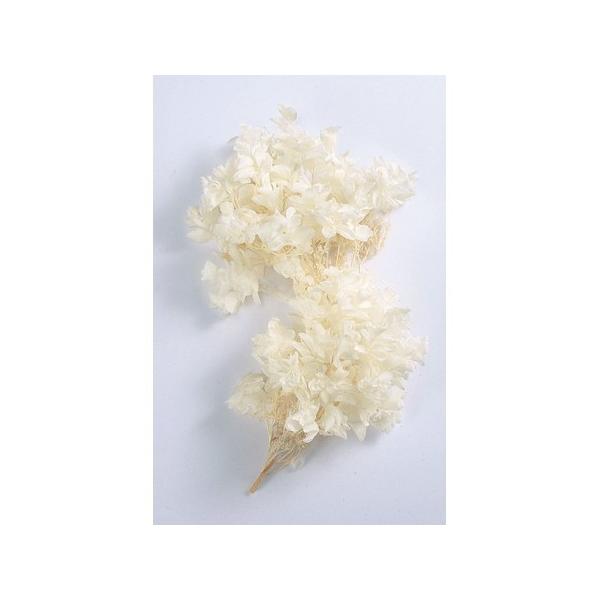 vU[uh n_ JVoAWTC wbh@2ց@ItzCg 01070-011 vU[uht[ԍ AWTC