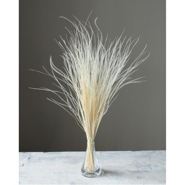 【商品番号：034-00078】/【VAR：67687】20230715new/01470-011/4988489071888/psum-013/bk-0025/bk-1026/スティファ/fuw-01ドライフラワー花材 その他ドライフラワ...