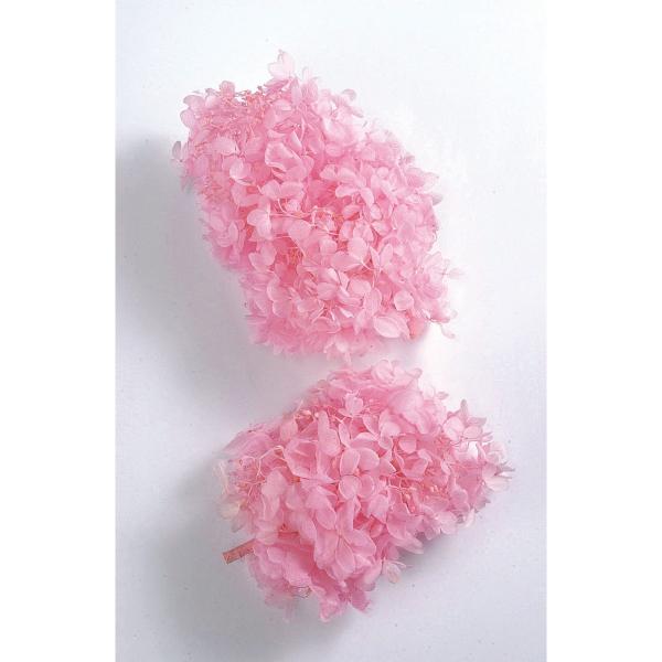 vU[uh n_ s~bhAWTC wbh@xr[sN 01510-101 vU[uht[ԍ AWTC