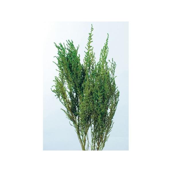 【商品番号：034-00119】/【VAR：4397】01760-712/4988489151016/hallo2014-02/2015haha-41/15i_aki_65/15pny-014/15x-019/16ha_p005/16pa0...