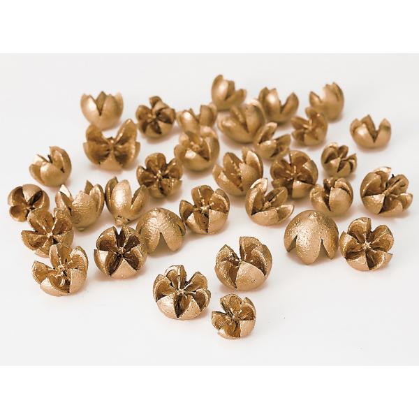 【商品番号：034-00765】/【VAR：34720】4988489074872/20180630new/15pny-006/opk-2019/15px-002ドライ実物＆フルーツ 木の実