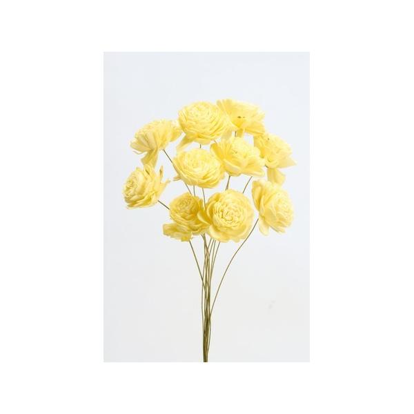 【商品番号：034-00830】/【VAR：4501】/32081-541/4988489139625/mothersday_preserved/hallo2014-02/aki_drypuri2015_009/16seijin-008/1...