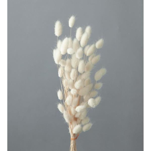 【商品番号：034-00897】/【VAR：10793】42060-011/4988489141406/2015easter-09/2015haha-40/psum-013/bk-0025/fuwa2020/bk-2108ドライフラワー花材...