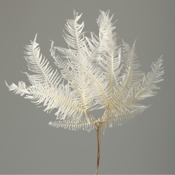 【商品番号：034-00919】/【VAR：65548】/50290-011/4988489022262/sum2014-07/ny2014puri-01/15pny-003/17love005/bk-1026/opk-2019/bk-20...