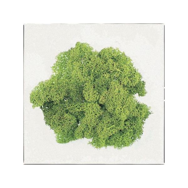 【商品番号：034-01058】/【VAR：4605】/61071-780/4988489047821/mothersday_preserved/biridal_kikaku-26/bk-0026/bk-1026/bk-2001/bk-30...