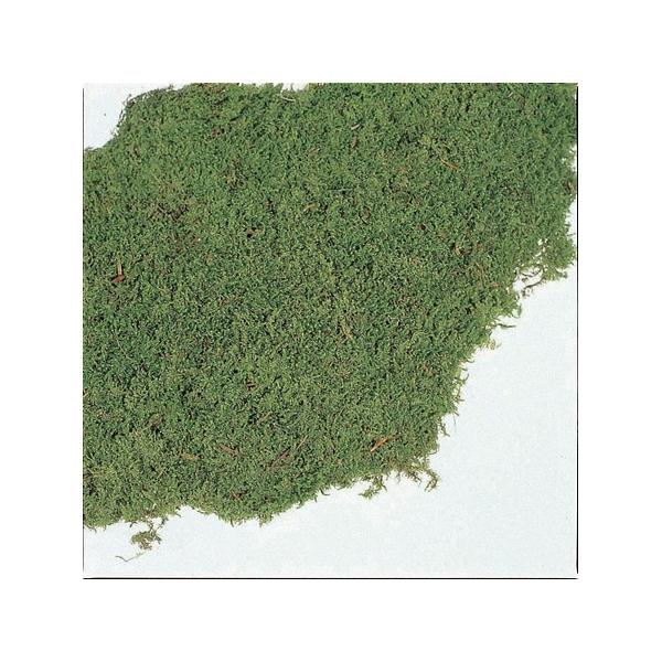 【商品番号：034-01066】/【VAR：4608】/61091-700/4988489095662/mothersday_preserved/image_hallo2015t_46/2017hallo/bk-2026/bk-3017ドラ...