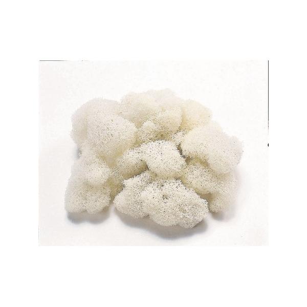 【商品番号：034-01073】/【VAR：】/61151-011/4988489064163/mothersday_preserved/image_hallo2015t_44/2017hallo/bk-1026/bk-2001/bk-30...