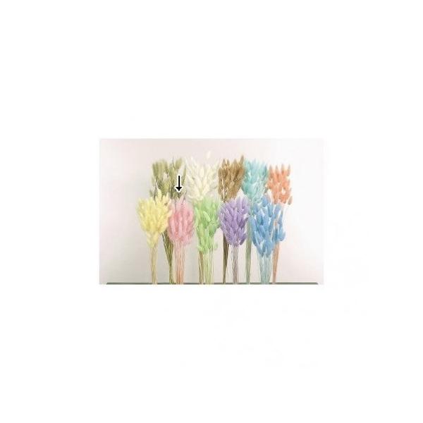 【商品番号：034-01839】/【VAR：4552】/42050-101/4988489015936/2015hina-03/2015easter-09/bk-1108/ひな祭り/fuwa2020/bk-2108/bk-3016ドライフラ...