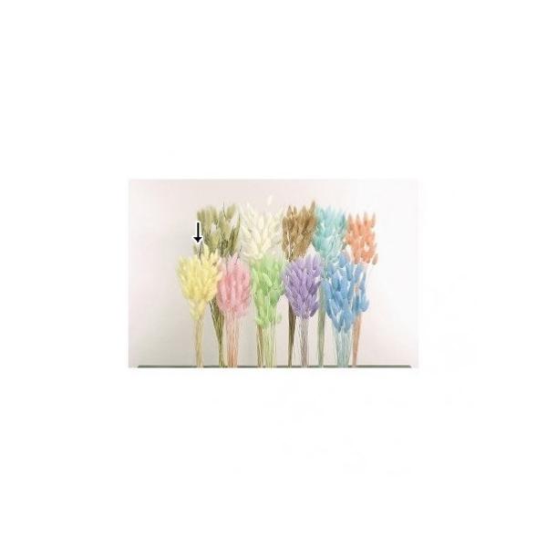 【商品番号：034-01844】/【VAR：4552】/42050-511/4988489016032/hallo2014-02/2015hina-03/2015easter-09/bk-1108/ひな祭り/fuwa2020/bk-2108...