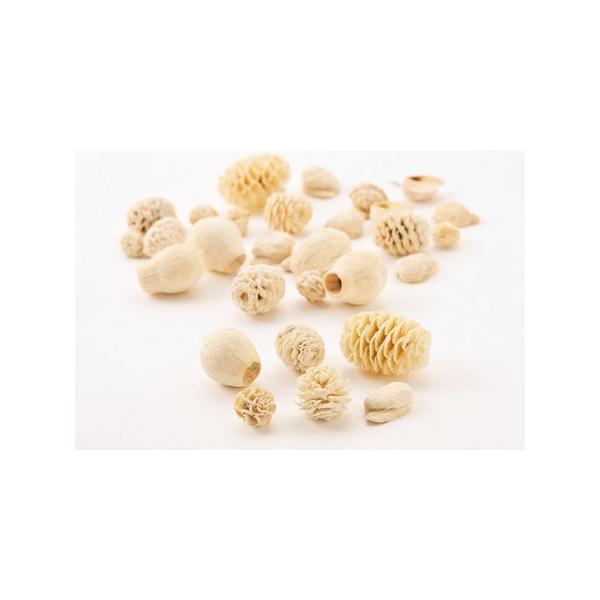 【商品番号：034-03075】/【VAR：34719】24840-010/4988489193375/mothersday_preserved/bk-0045/16x-007ドライ実物＆フルーツ 木の実