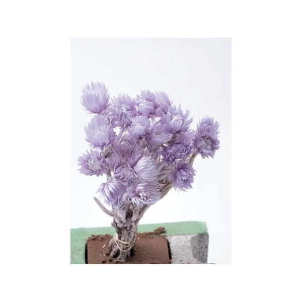 【商品番号：034-03582】/【VAR：4498】/32000-440/4988489199384/32000-440/4988489199384/mothersday_preserved/bk-0025/hndnyorj/bk-210...