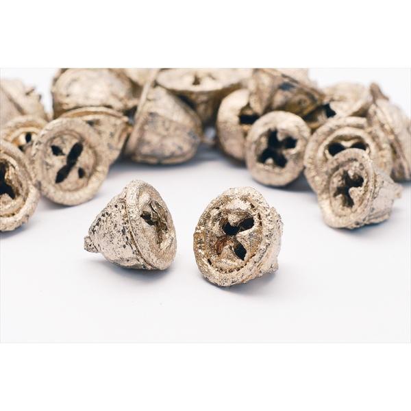 【商品番号：034-03706】/【VAR：54611】4988489173476/20180630new/15pny-006/opk-2019/bk-2045/15px-002ドライ実物＆フルーツ 木の実