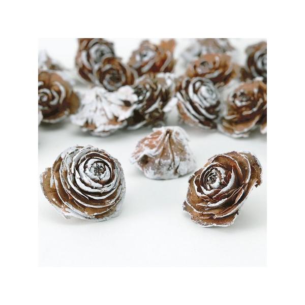 【商品番号：034-03807】/【VAR：10750】24100-982/4988489205542/24100-982/4988489205542/mothersday_preserved/xmas/16x-007/ドライ実物＆フルーツ...