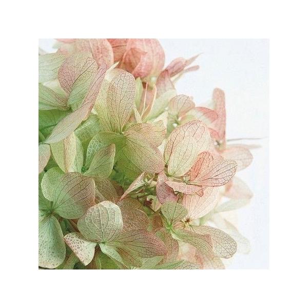 vU[uh n_ s~bhAWTC wbh@2ց@C[ 01515-720 vU[uht[ԍ AWTC