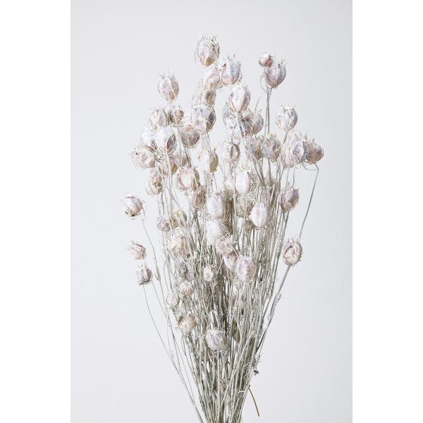 【商品番号：034-04126】/【VAR：4374】大地農園新商品201301/10060-012/4988489206600/2015easter-09/aki_drypuri2015_007/aki_drypuri2015_012/1...