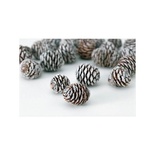 【商品番号：034-04134】/【VAR：】498848920458320170706newドライ実物＆フルーツ 松かさ、から松