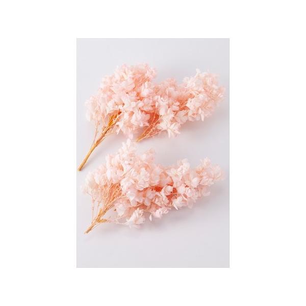 vU[uh n_ JVoAWTC wbh 2փzCgsN 01075-103 vU[uht[ԍ AWTC