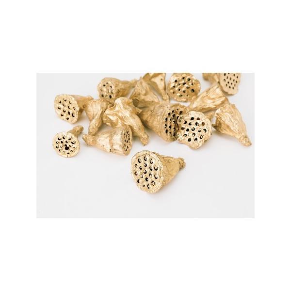 【商品番号：034-05586】/【VAR：4419】4988489223683/2014年6月新商品/15pny-006/16x-007/opk-2019/15px-002ドライ実物＆フルーツ 木の実/正月