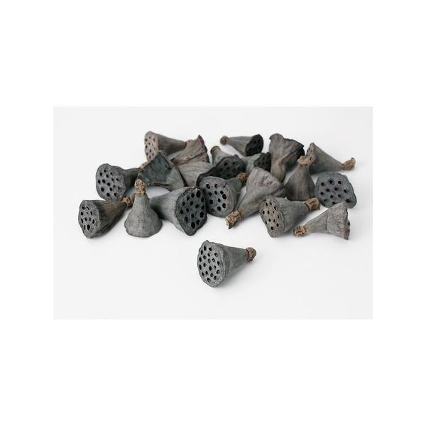 【商品番号：034-05587】/【VAR：10748】4988489224857/2014年6月新商品/bk-0045/16x-008/bk-2045ドライ実物＆フルーツ 木の実