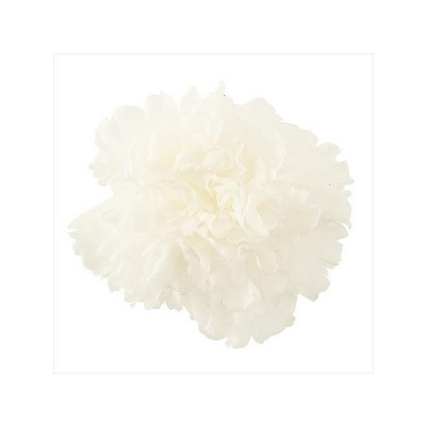 カーネーション プリザーブドフラワー」の人気商品一覧 | 安い