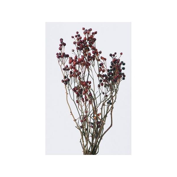 節分お飾り【野バラ】ドライフラワー バラ入り）Tida Flowerの、ドライフラワーミニスワッグ | ドライ