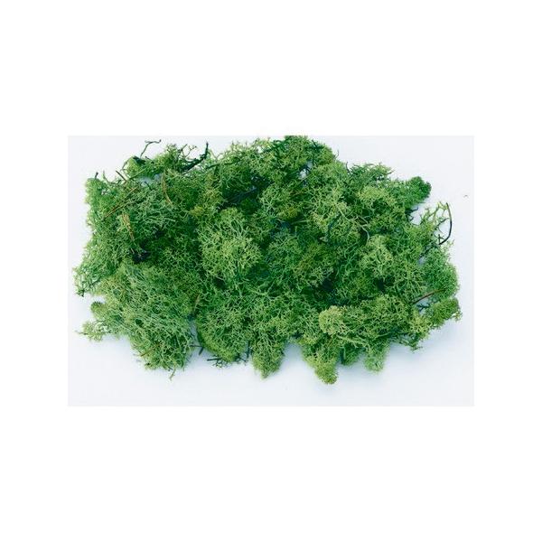 【商品番号：034-06825】/【VAR：4605】4988489243773/20170117new/bk-1026/bk-2001/bk-3017/bk-4008プリザーブドグリーン モス・苔