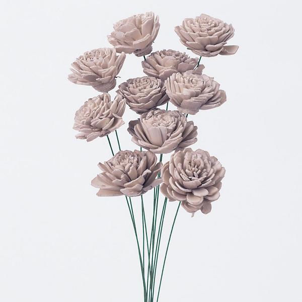 【商品番号：034-06838】/【VAR：4501】4988489244510/20170117new/bk-3019ソラフラワー ソラローズ