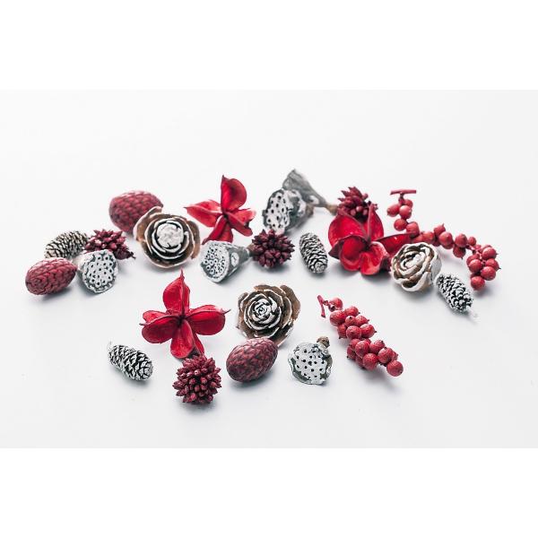 【商品番号：034-07012】/【VAR：67545】4988489248914/20170704new/bk-2045//まつむら通信ドライ実物＆フルーツ 木の実