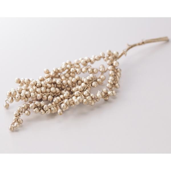 【商品番号：034-07526】/【VAR：54610】4988489262477/20180701new/15pny-006/opk-2019/bk-2045/15px-002ドライ実物＆フルーツ 木の実【大地農園】